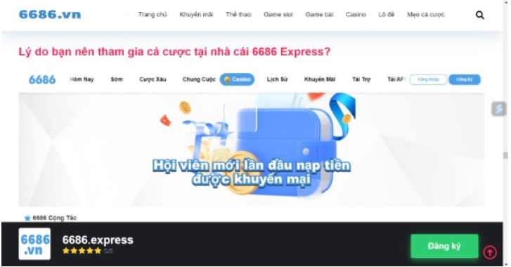 6686 bet - 6686vn casino: Tận hưởng những phút giây giải trí đáng nhớ