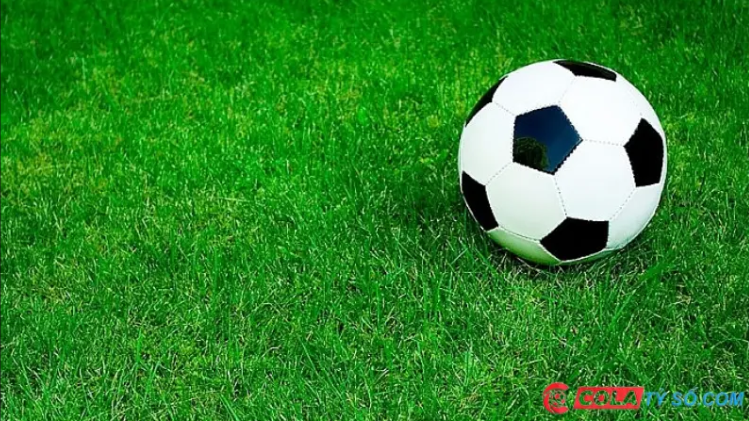 Lý do nên chọn colatyso